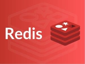 تسريع ووردبريس باستخدام ذاكرة التخزين المؤقت Redis