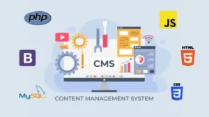 ما هو نظام إدارة المحتوى CMS؟
