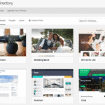wordpress free vs paid themes 2
